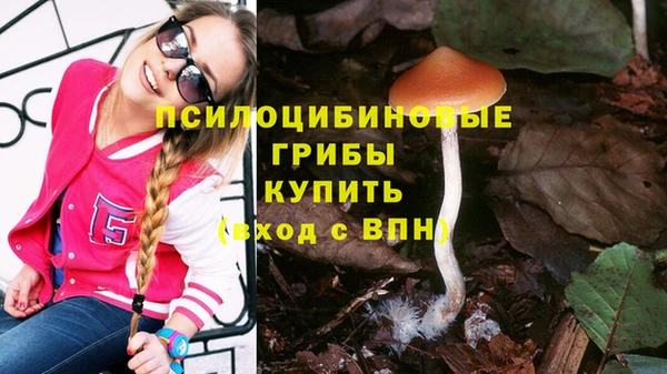 гидропоника Алзамай