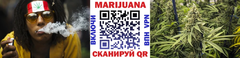 Конопля сатива  Ангарск 